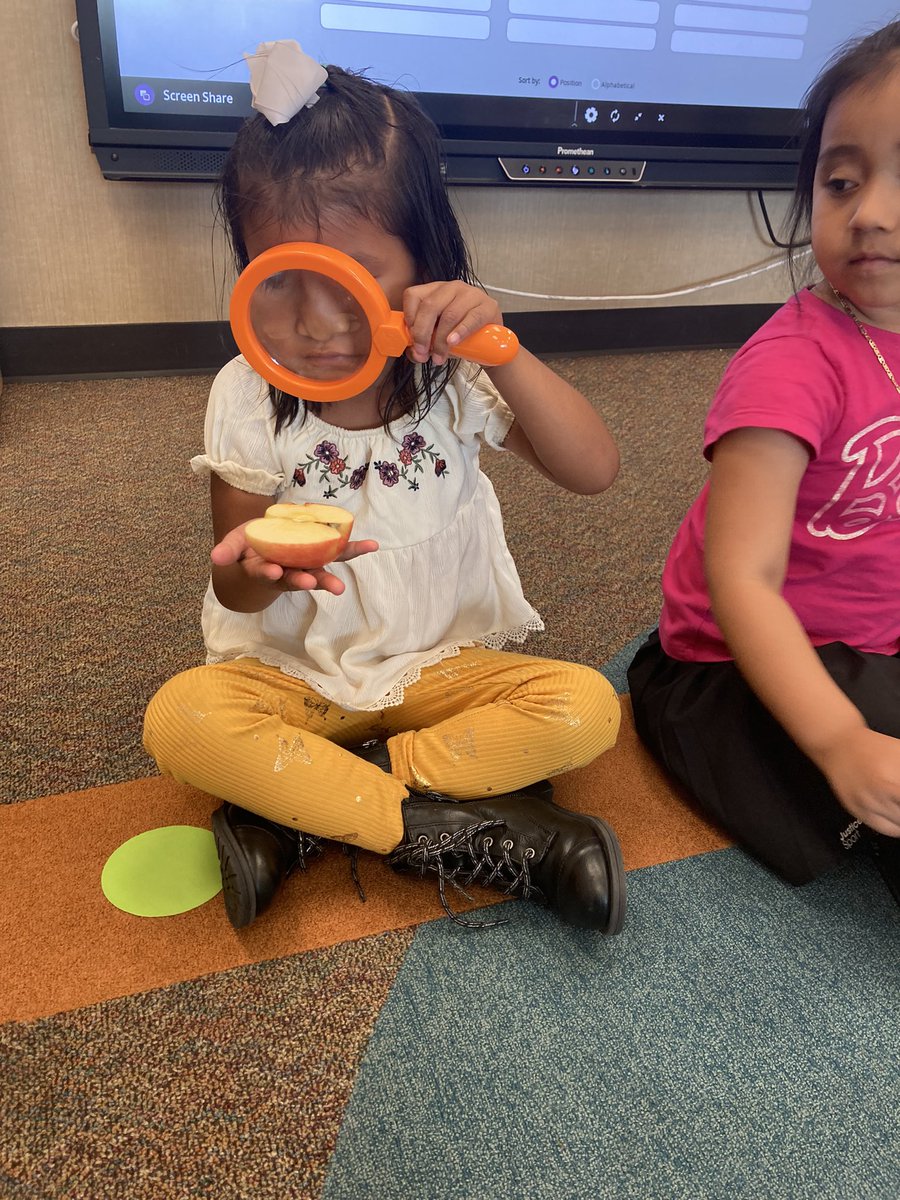 MrsRosa_class's tweet photo. @BBS_Learns we have enjoyed learning about apples @SBISD @SbisdPreK https://t.co/RqnI5rsOwE