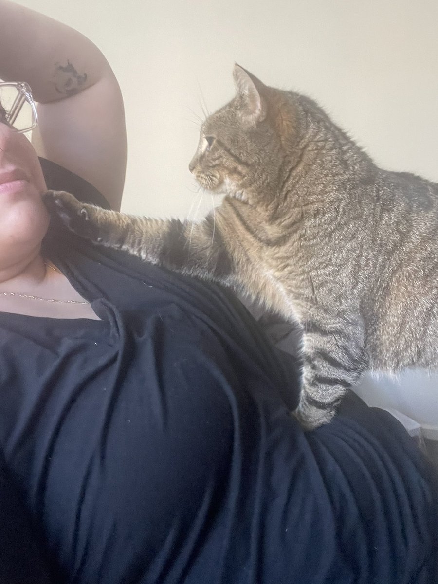 Today has tried me repeatedly and now this needy fucker wants my attention. 

Send if you’re jealous that my cat gets to sit on my lap and touch my face. You could absolutely NEVER.

Findom finsub paypig cashsub BBWfindomme cashslave walletslave humanwallet humanATM ausfindomme…