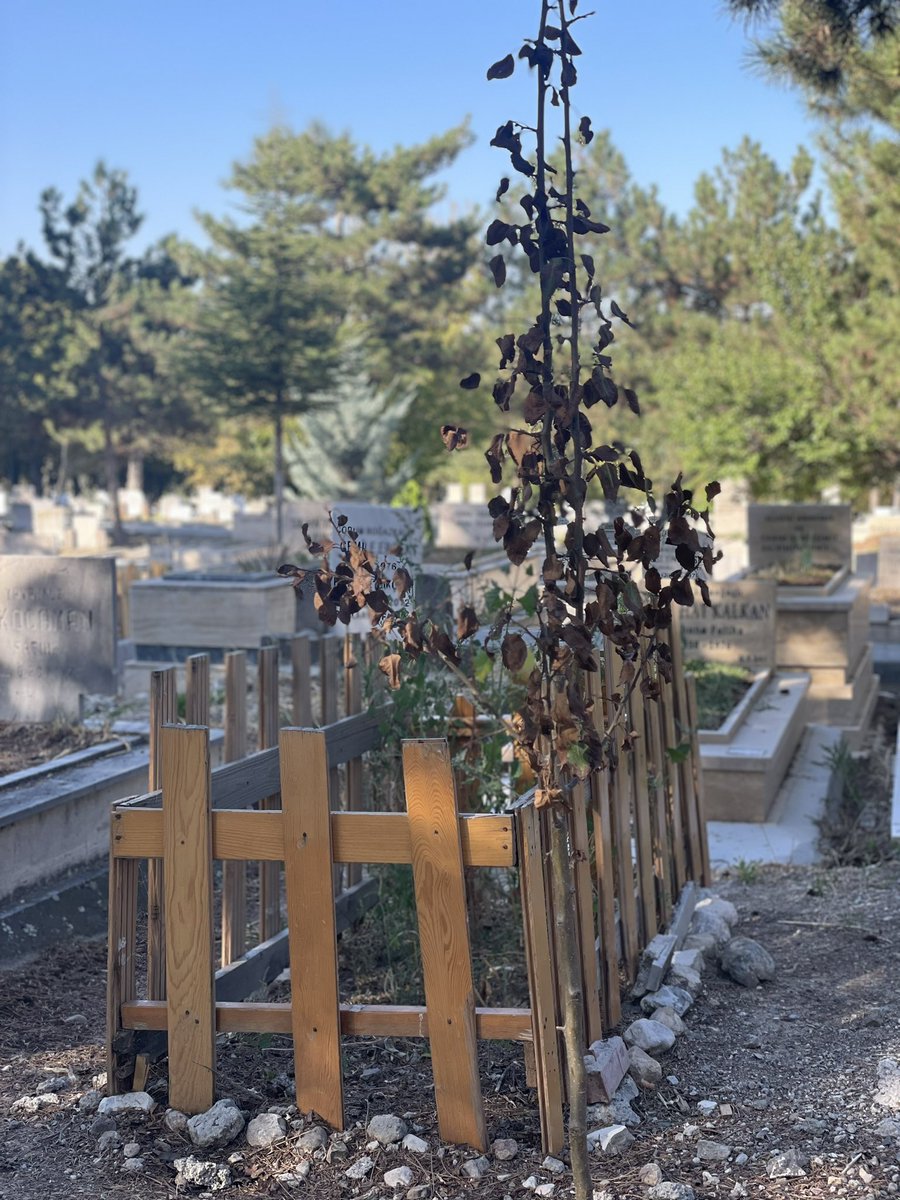 Hani derler ya hayat insana emanettir diye asıl ölüm emanet edilmiştir insana

İnsan hayatın yükünü taşıyamaz da ölümün yükünü taşır

Ölüm, Allah’ın en büyük emaneti 
 
Ölüm bizim en büyük hakikatimiz 

Ölüm bizim değişmeyen emanetimiz