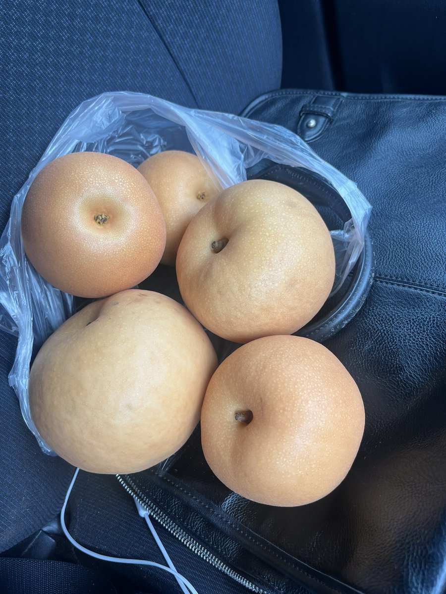hirosshe's tweet photo. 梨この量で800円とか熊本最高過ぎる https://t.co/hATRmLfsXP