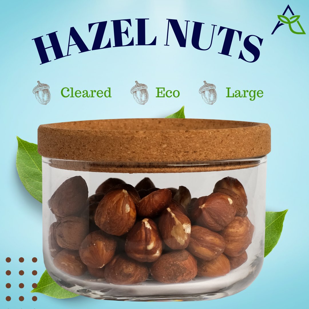 piglobal07's tweet photo. The hazelnut has antioxidant properties. Adding them to your diet reduces inflammation and oxidative stress in the body #hazelnut #nuts #freshnuts #turkey #canada #dubai #india #pi_global07 #pi_global07officials https://t.co/W6LRRCvKOQ