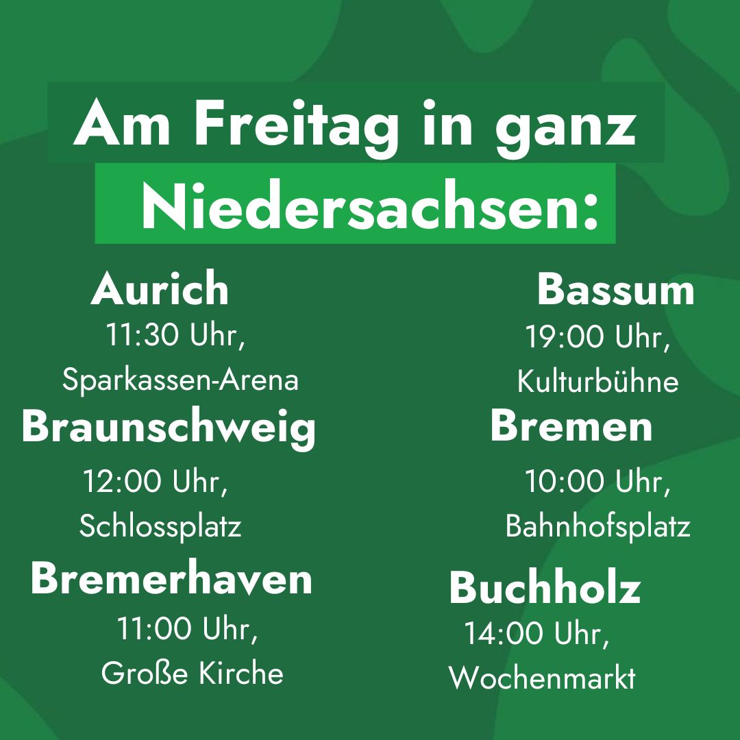 Fridays for Future Niedersachsen tweet media