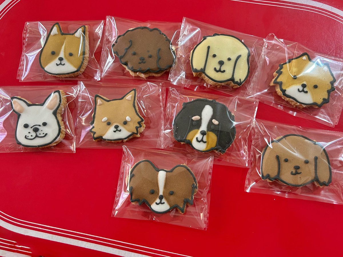 _Ljenodesu's tweet photo. Thank you atee @ddanasauroha 💚💚
OTW to Manila ulit😘
#sugarcookies #adorafurhappystay
#petpal https://t.co/N6g7OBkHXF