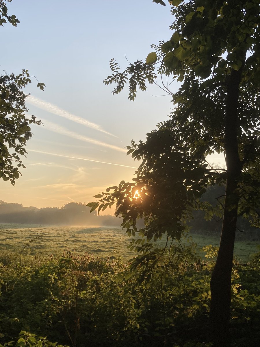 Goedemorgen Nederland! Vanuit het Staelduinse bos een fijne dag toegewenst! #regiokusstreek <a href="/ZHLandschap/">Zuid-Hollands Landschap</a> <a href="/Bezoek_westland/">Bezoek Westland</a>