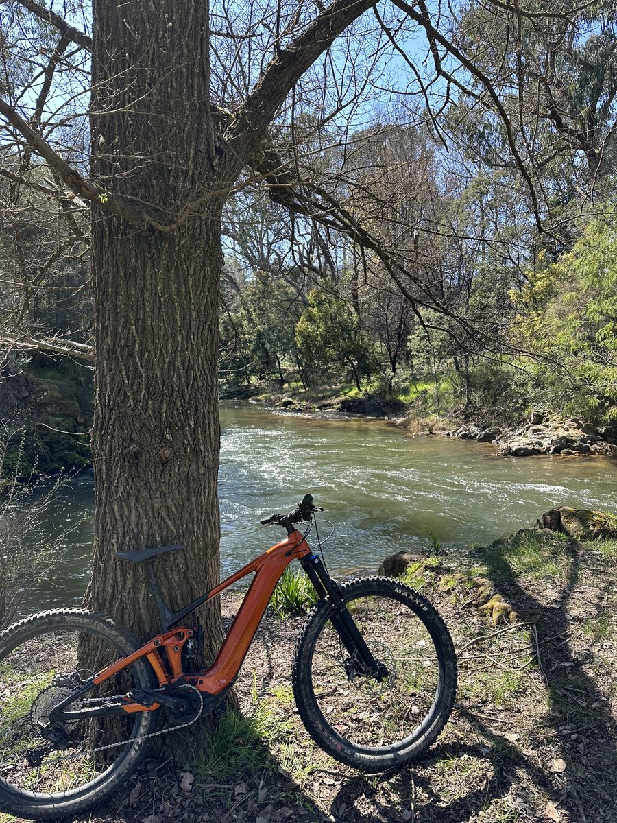 newietraveller's tweet photo. Day 15 of our #TrailTowns rode trip was a ride on the Mountain Rail Trail out of Bright to Porepunkah. Get to cross the Oven River, this section is nice easy ride #roadtrip #trails #discover #mtb #cycling #cyclinglife #tourisms https://t.co/SV5lFJEi8p