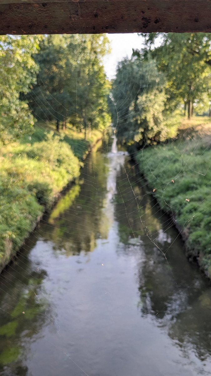 Murmelgnom's tweet photo. #JedeWocheEinFoto KW 37/23
"Erst auf den zweiten Blick" https://t.co/uHkTN854xn