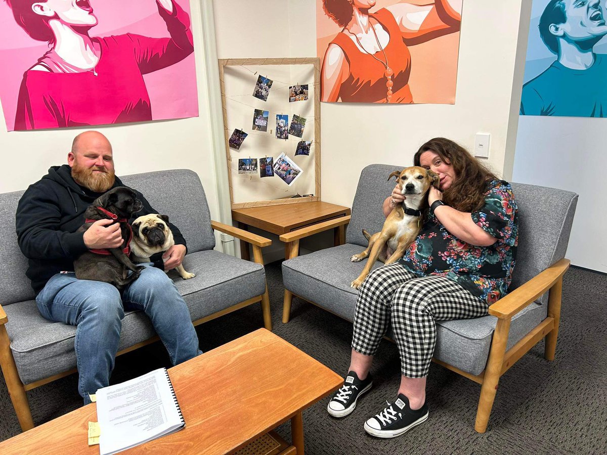 kateinthebay's tweet photo. Dog swap casual Friday. #Tedna.
They don’t look too happy. https://t.co/FZHilPrtsI