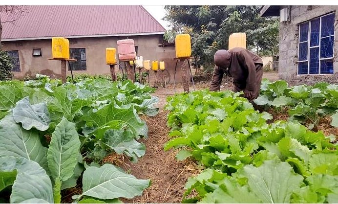 olvarislasway's tweet photo. Mrejesho wa #DripKit
Sasa kwa TZS 60,000 tuu unaweza kupata mfumo wa umwagiliaji unaokuwezesha kulima mboga mpaka Miche 250 kwa ajili ya familia na majirani, #AgricSkillsTz .wasiliana nasi na tukutumie popote ulipo Tanzania
📞0626244751 ,
☎️https://t.co/IoLHA0DtqP https://t.co/9O4AjgOQcw