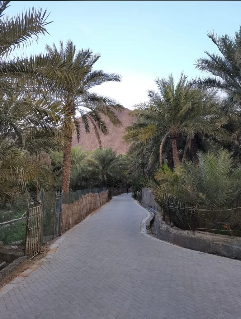 flashRex2001's tweet photo. *اللهـــــــم*
 إني أسألك نفسا مطمئنة تؤمن بلقائك ، وترضى  بقضائك ، وتقنع بعطائك ، واجعل لنا من كل هم فرجا ، ومن كل ضيق مخرجا ومن كل ��لاء عافية ،  وان ترزقنا من حيث لانحتسب.
               اللـــــــهم امـــــــين
   🌹صـــــــباح الـــــــخير🌹
          (جمعه مباركة )
#مدحاء https://t.co/r8TcVm1dDl
