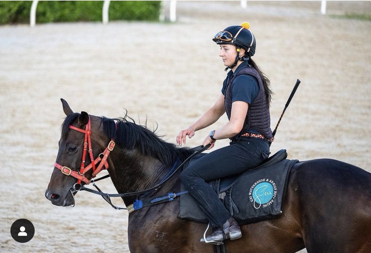 Kestrel Thoroughbreds tweet media