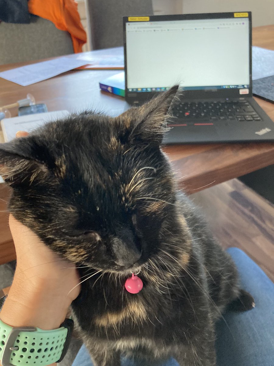 Louise Baker 🇬🇧🇩🇪🇪🇺 (she/ her) tweet media