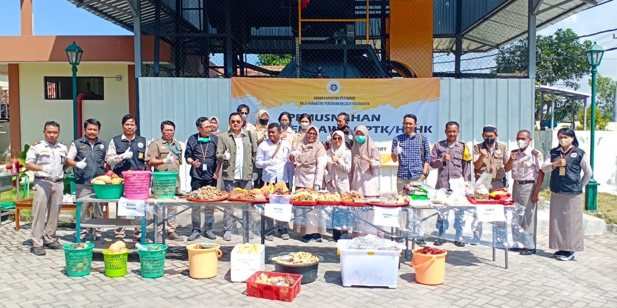 BarantinRI's tweet photo. Tanpa Dokumen Sah, Sejumlah Komoditas Pertanian Dimusnahkan @karantina_yogya

#KarantinaPertanianYogyakarta melakukan Pemusnahan Media  Pembawa HPHK dan OPTK periode September 2023 yang berlangsung di halaman Kantor Wilayah Kerja Bandar Udara YIA Kulonprogo. https://t.co/ClBtbIm32W