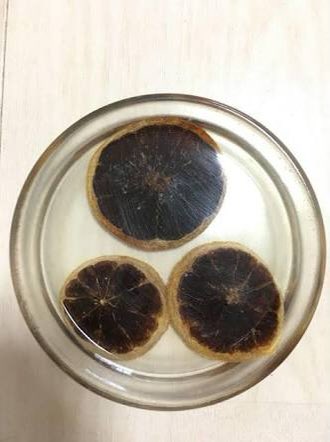 「2,3年前に試しでドライフルーツ、ドライフラワー埋めたコースター。どんどん黒くな」|細見 圭弥 / ぐるのイラスト