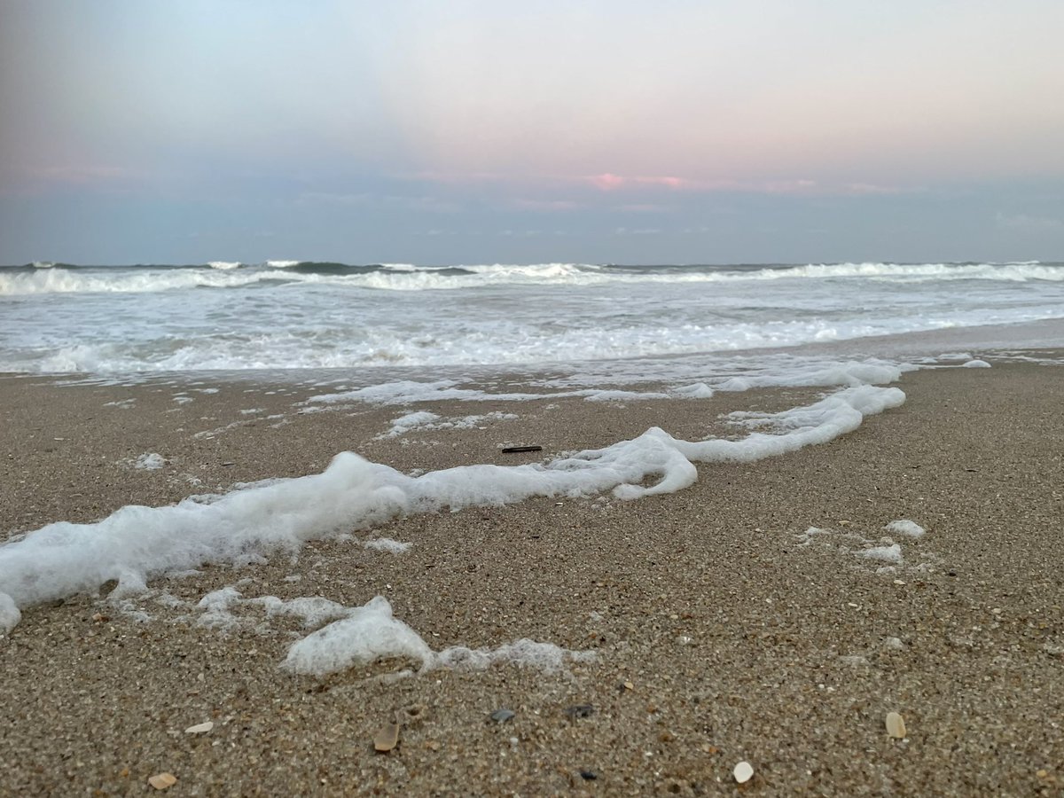 liz_veeuh's tweet photo. Very #windy #eveningwalk on the #beach “No Swimming” signs are still up &amp; there’s #ripcurrent &amp; #coastalfloodwarning but my nephew thought the #seafoam was so cool (2/3)

#beachwalk #beachvibes #roughwaves #shorebreak #ocean #waves #nagshead #nagsheadnc #outerbanks #outerbanksnc https://t.co/jM9dlna8O4