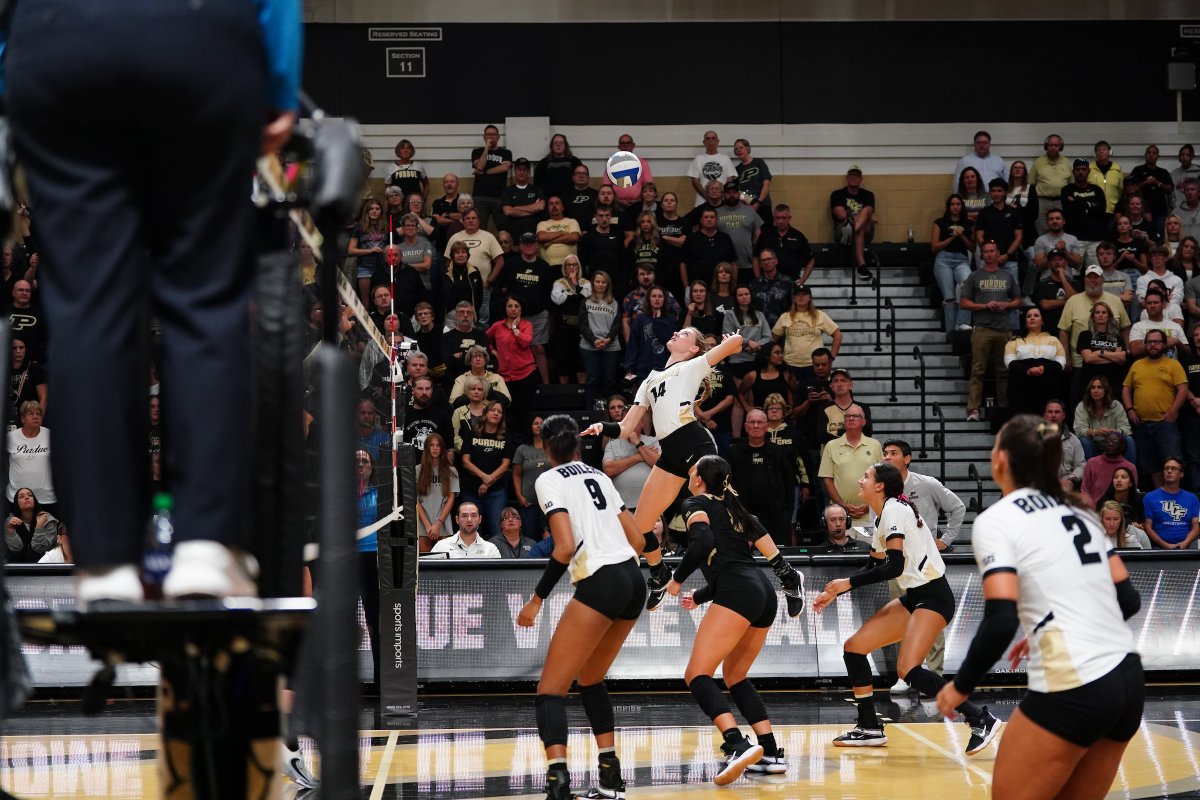 PurdueVB's tweet photo. .@_graceheaney is having a good night.

Errorless 6️⃣ kills on 🔟 attacks https://t.co/3wVf7XT2N3
