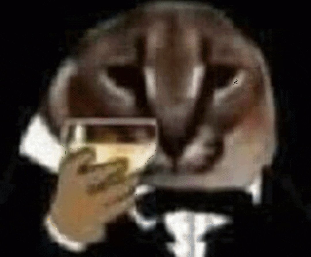 Oomargos tweet media