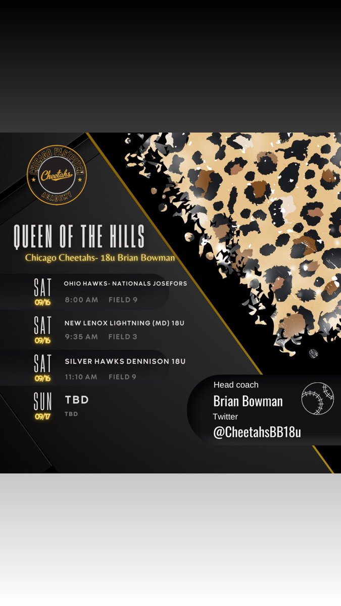 Chicago Cheetahs 18u Bowman tweet media