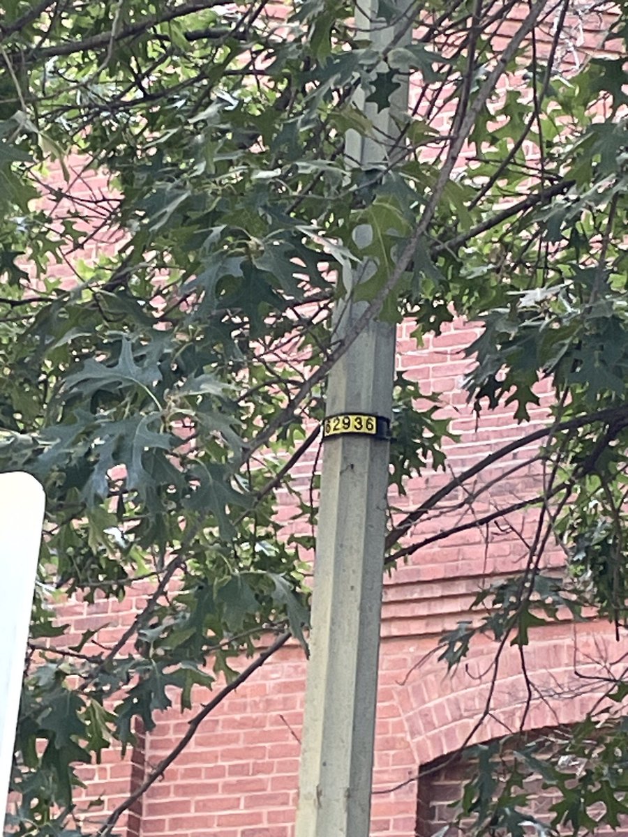 Brian Alcorn - ANC 7D08 tweet media