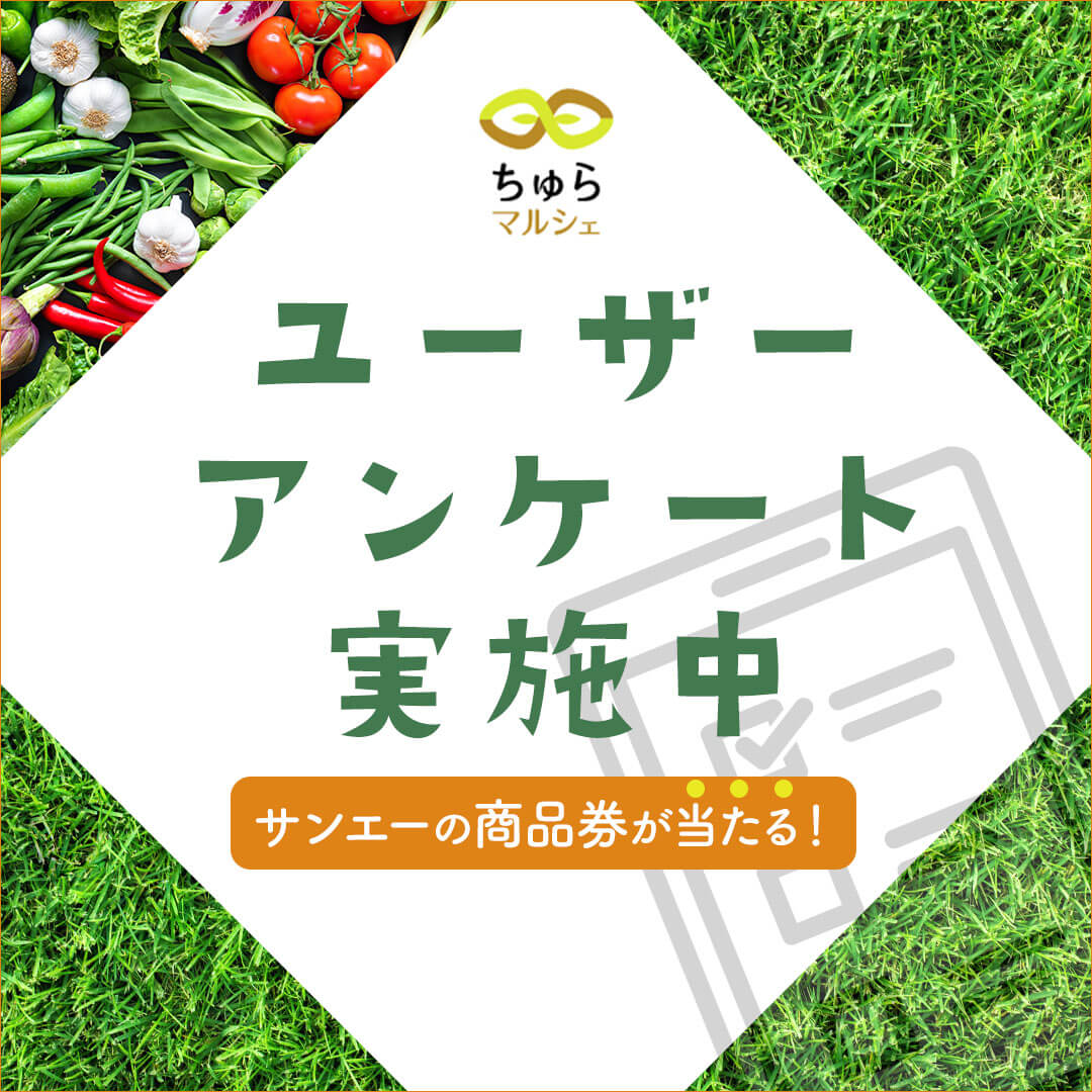 churamarche's tweet photo. 締め切りは本日まで！
🎁サンエーの商品券が10名様に当たるチャンス😆
ぜひこの機会にみなさまの声をお聞かせください♪ご協力お待ちしております！

▼アンケートはこちらから
https://t.co/0OGtkyCQ7k

#ちゅらマルシェ #沖縄県民限定 #プレゼントキャンぺーン #アンケート #産地直送 https://t.co/VdXzoPByWT