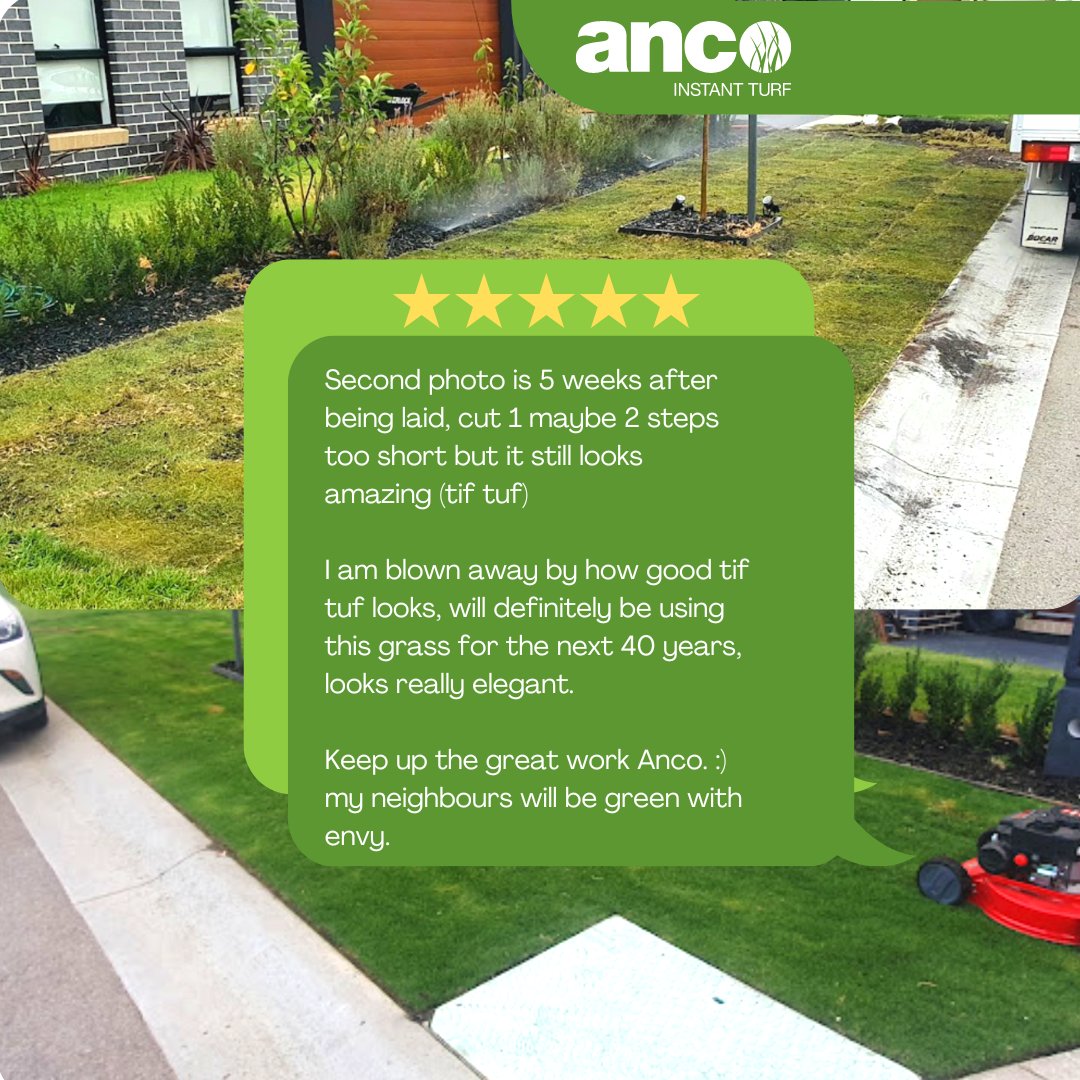 Ancoinstantturf's tweet photo. How thrilling to receive this feedback! Be sure though to pass along our details to your neighbours 😜
.
📱 @ancoturf
📞 1800 010 110
.
@lawnsolutions 
.
#anco #ancoturf #instanturf #grass #lawn #testimonials #reviews #5stars #lawns #turf #lawncare https://t.co/VBvCnldHBq