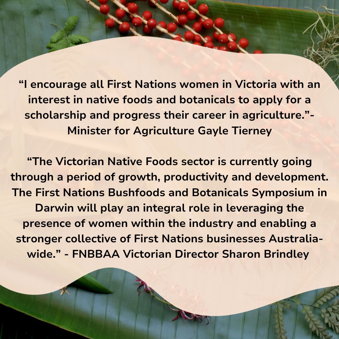 Minister for Agriculture Gayle Tierney has announced up to 10 scholarships are available for First Nations women to attend the ‘Pathways to Sovereignty’ First Nations Bushfoods and Botanicals Conference in Darwin. Apply for a scholarship here: buff.ly/3EEuWzz.