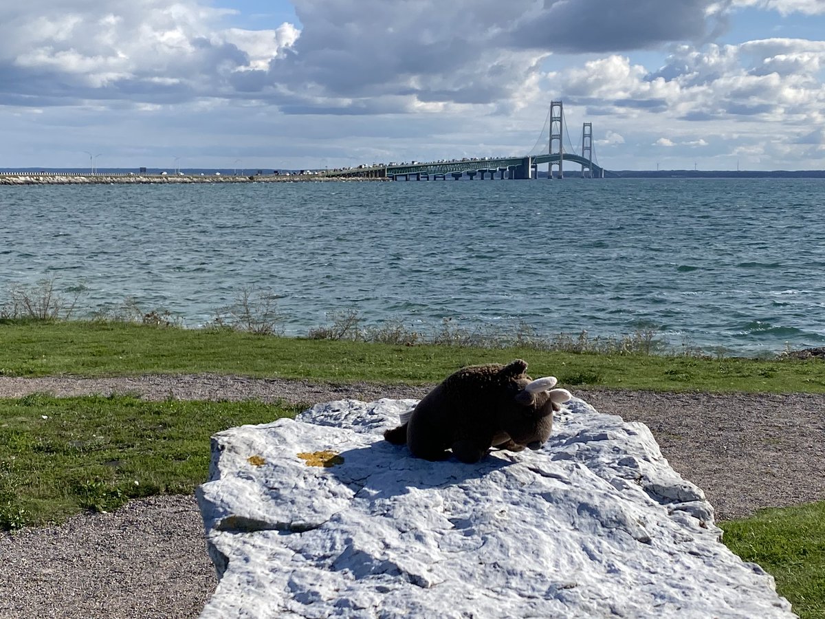 BuddyBisonTrips's tweet photo. Mackinac bridge, Michigan
September 2023
#buddybison https://t.co/K1kFZ2RUX4