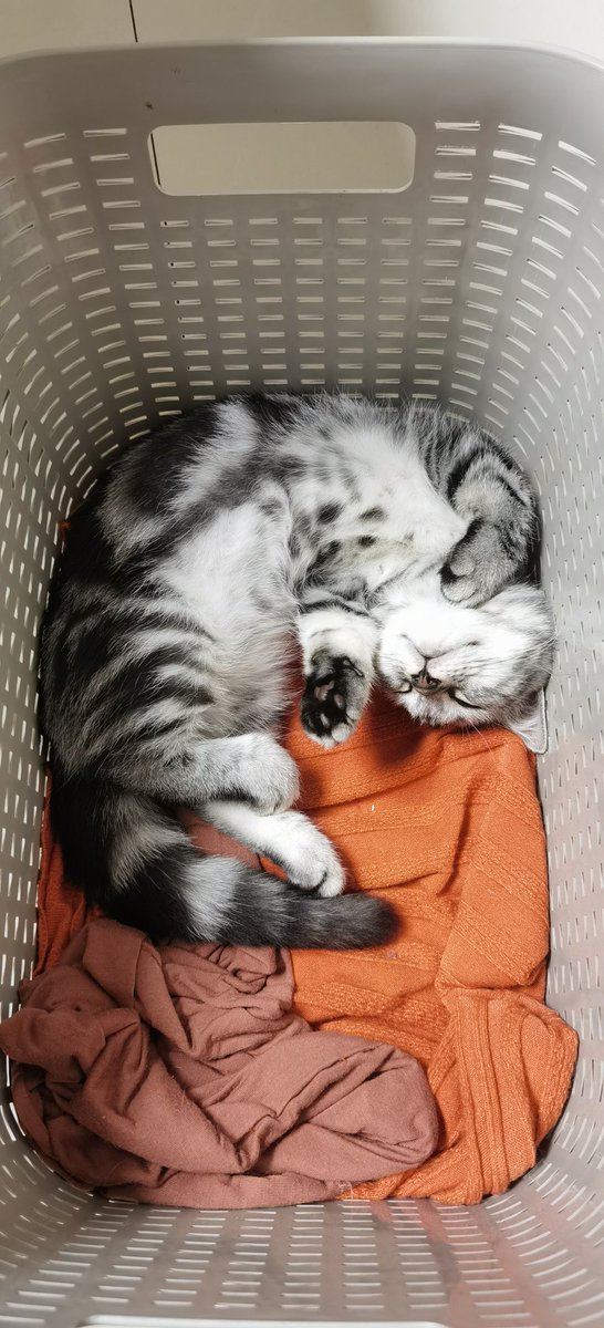 sooooo cute😭😭😭