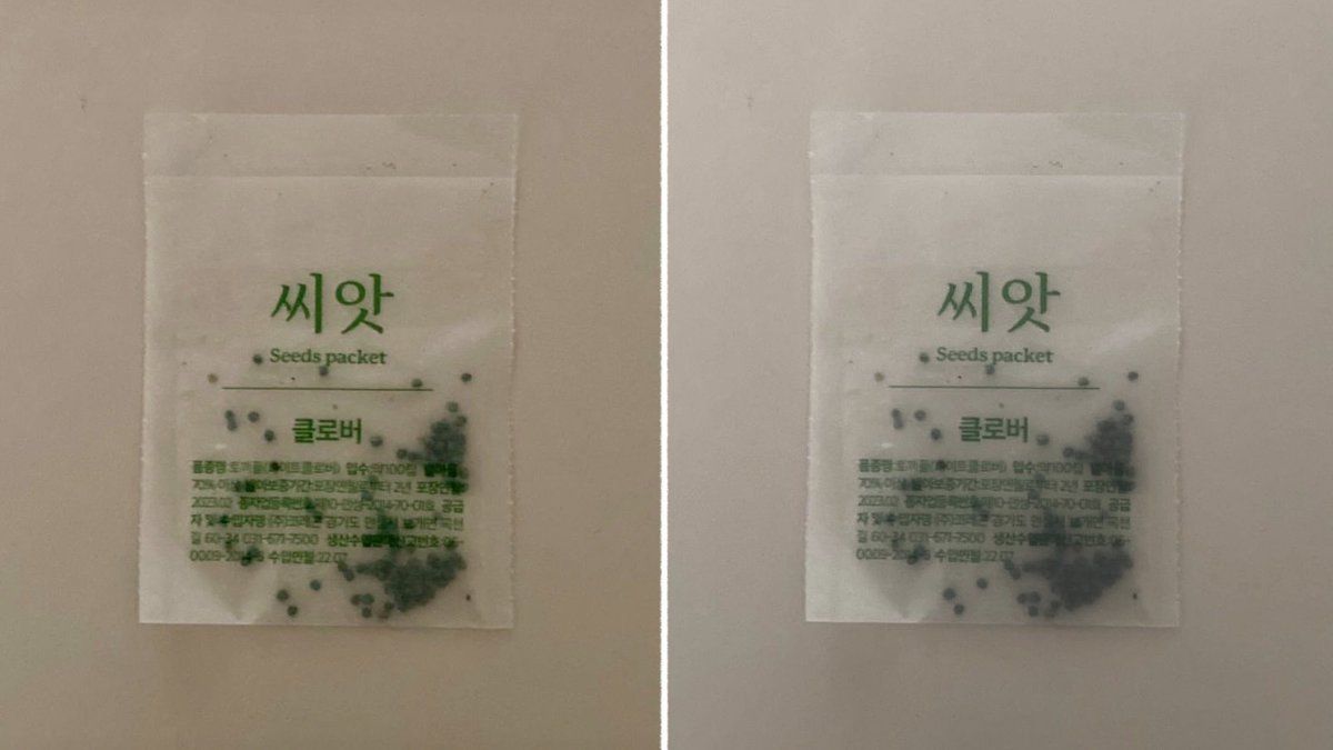 김온정 tweet media