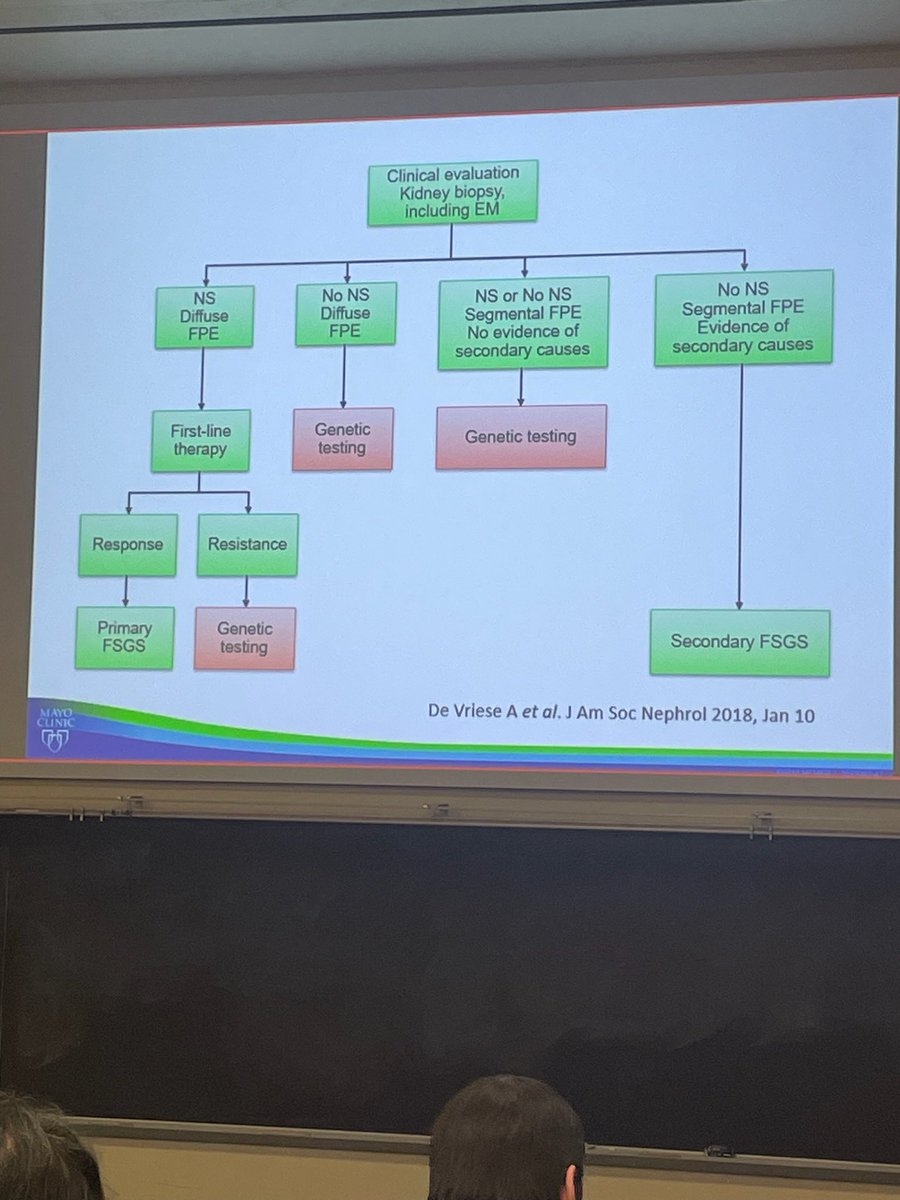 Gilda Portalatin (@gildaportalatin) on Twitter photo Excellent Medicine and Renal Grand Rounds by Dr. Fernando Fervenza on serology-based approach to Membranous Nephropathy and differentiating FSGS. Was glad to hear about my mentor’s outstanding work <a href="/ShaneBobart/">Shane Bobart, MD, FASN</a> on PLA2r at <a href="/MayoClinicNeph/">Mayo Clinic Nephrology</a> 👏🏻👏🏻 Excellent Medicine and Renal Grand Rounds by Dr. Fernando Fervenza on serology-based approach to Membranous Nephropathy and differentiating FSGS. Was glad to hear about my mentor’s outstanding work <a href="/ShaneBobart/">Shane Bobart, MD, FASN</a> on PLA2r at <a href="/MayoClinicNeph/">Mayo Clinic Nephrology</a> 👏🏻👏🏻