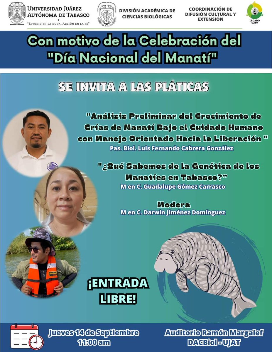 ValeriaRMendoza's tweet photo. Por el pasado día Nacional del Manatí, en las instalaciones de @DACBiolUJAT, realizaron conferencias sobre sus aportes en el estudio y rehabilitación de esta especie dentro de la división, esenciales pláticas para conocer estos maravillosos mamíferos marinos. https://t.co/Dh8bd2MrW6