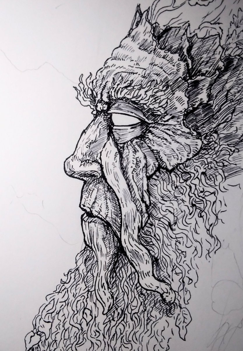 helroddlux's tweet image. Treebeard pt 1 
#treebeard #LOTR #ents #Tolkien #TolkienSociety #middleearth #trees #ink #art