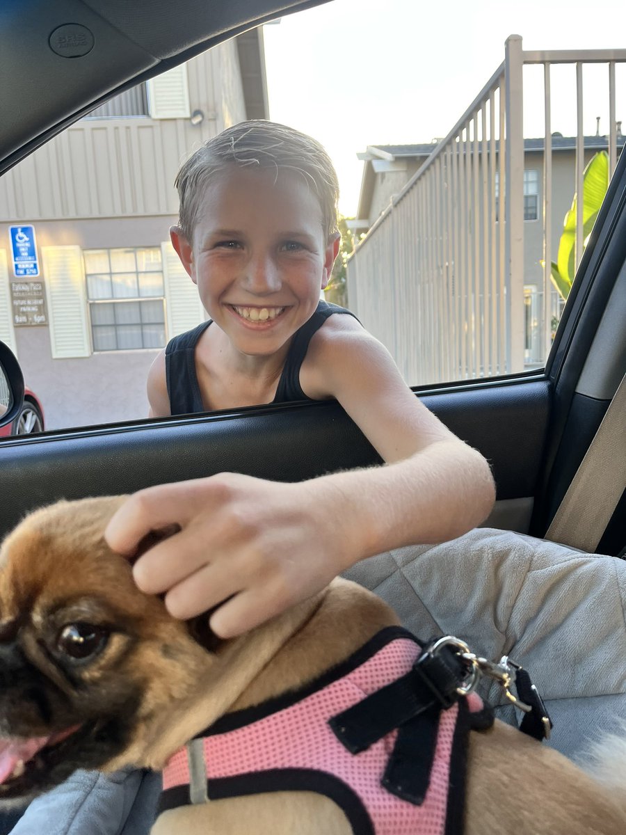 JammenJam's tweet photo. Love being so close to them again 🥹#FunAunt https://t.co/fIzQofxgvf