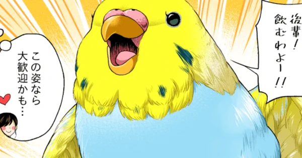 訳あって #インコ になってしまった先輩。インコの姿で働くのはさすがに疲れるようです。初丸うげべそ  さんのまとめ読みをアップしました。ヤメコミ 