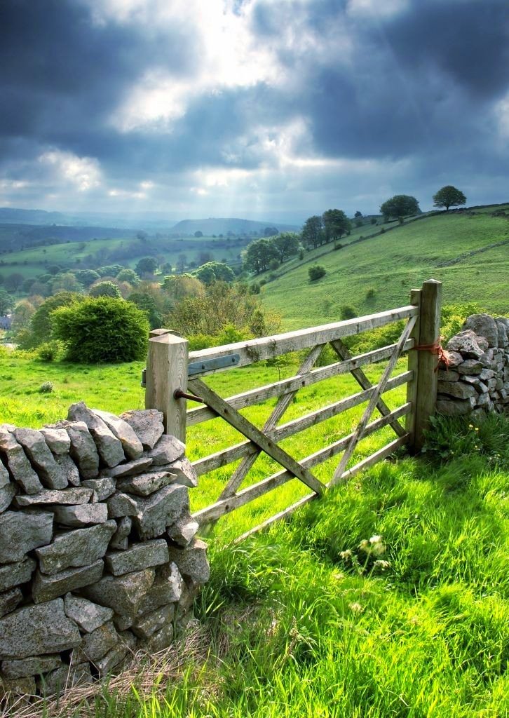 ☔𝑆𝑢𝑚𝑚𝑒𝑟 𝐾𝑒𝑛𝑛𝑒𝑑𝑦🥀❤️ tweet media