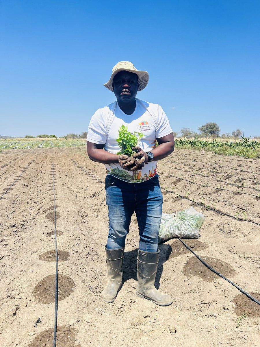 BenicaTheFarmer tweet picture