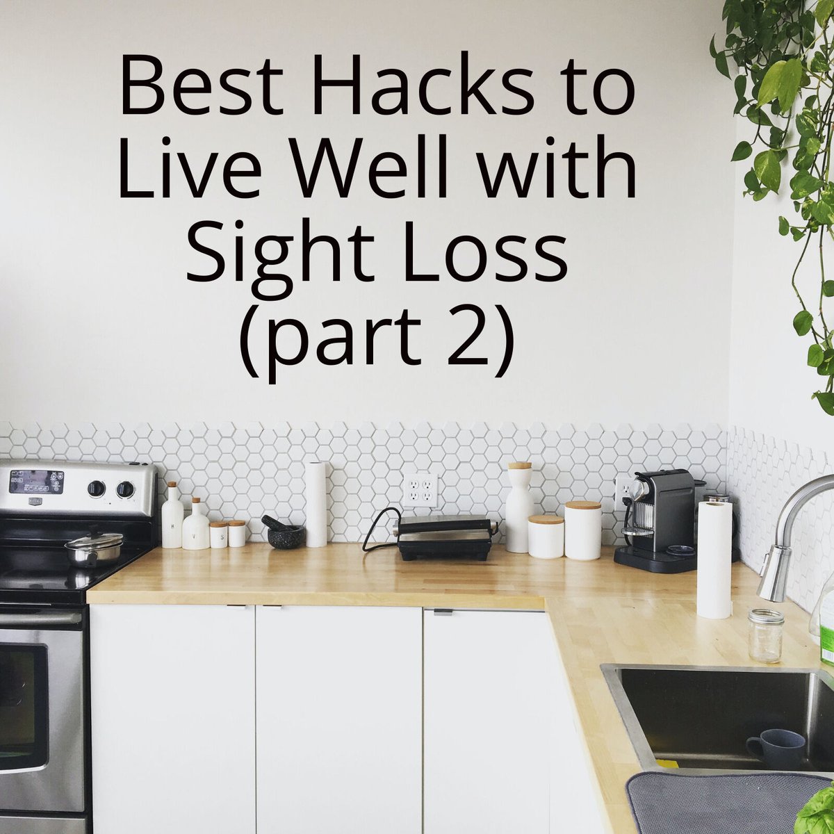 San Diego Center for Blind and Vision Loss tweet media