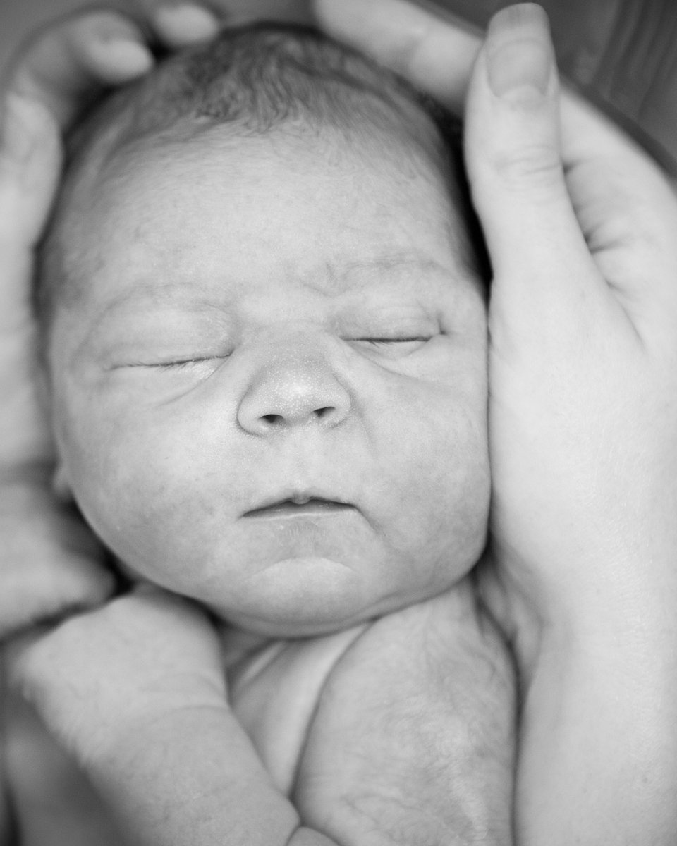 Sensory Beginnings tweet media
