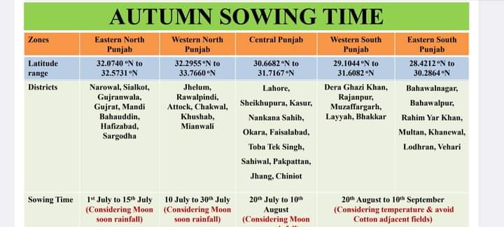 Muhammad Mohsin tweet media