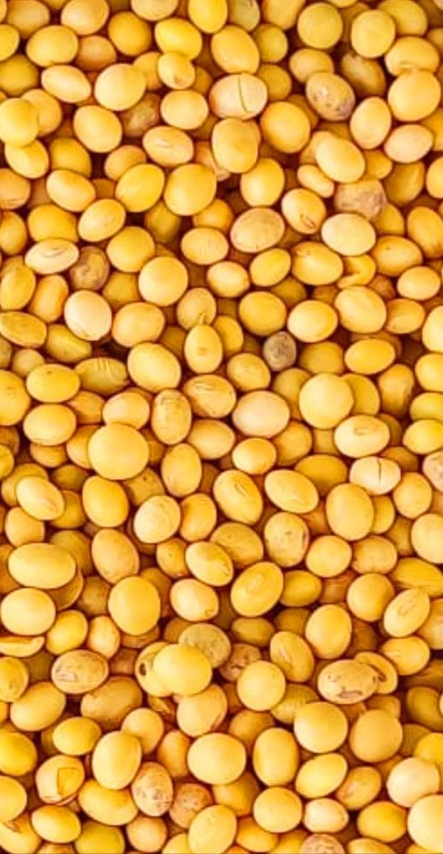 Muhammad Mohsin tweet media