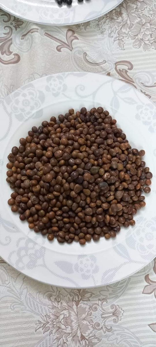 Muhammad Mohsin tweet media