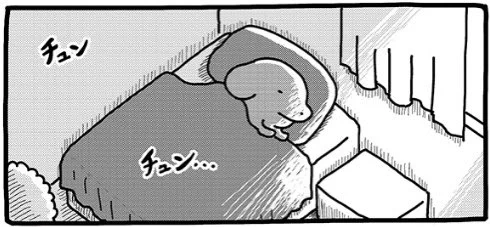 souffleの連載『貼りまわれ!こいぬ』第172話「こいぬとうまくいかない1日」が本日掲載されました。
こちらの連載は毎週金曜午前11時更新です。
https://t.co/5VnHP8UG5T 