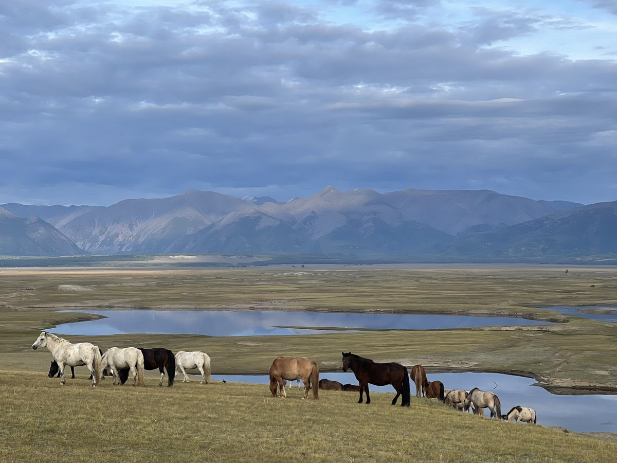 Хөвсгөл, Цагааннуур сум, 
Дархадын цэнхэрт хотгорт явна 🙏🏻