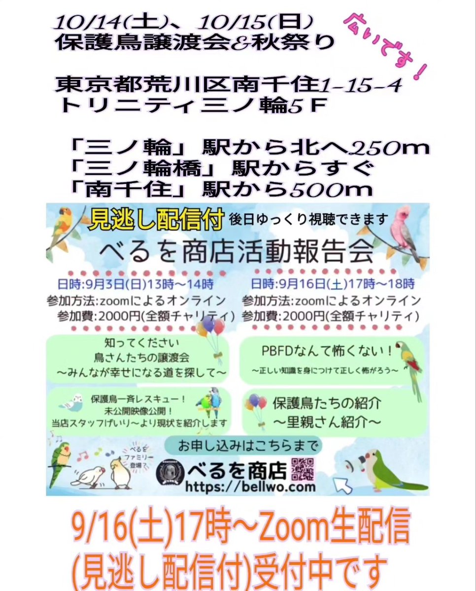 bellwo5963's tweet photo. '
ハアハア息苦しそうな
オカメが販売されている
との連絡を受け、2羽を
保護してきました

仕入先を確認したところ
ＢＦＤ陽性のパイド
ロックジョー症候群の
ルチノーと同じ場所です

前回は私から本部へ
ご報告させて頂きました

見た目から小さいのが
わかるほど軽い···

２羽とも空気穴が上に
一箇所、それも半分だけ
開けられ引渡しされました

すぐに治療開始します
小さな命、どうか繋ぐ
ことができますように

皆様のご厚情により
保護活動を継続することが
できます

230羽超、小さな命を
繋いでくださり心より感謝
申し上げます