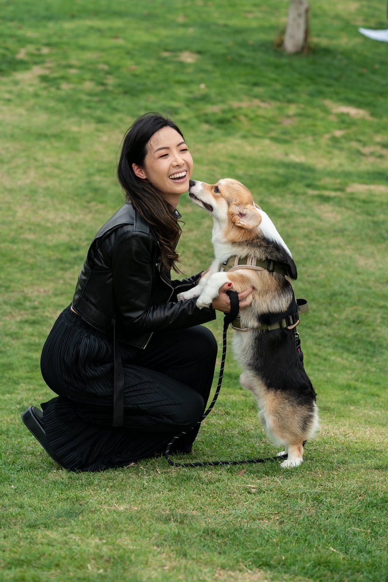 therealleslamb0's tweet image. F1 is cool but did you know corgis can reach an impressive top speed of 25 mph 🏁

Sharing mems of these little darlings in honor of #corgicon happening this weekend (my gathering of choice) — 

Anyone want to start a Crypto x Corgicon?