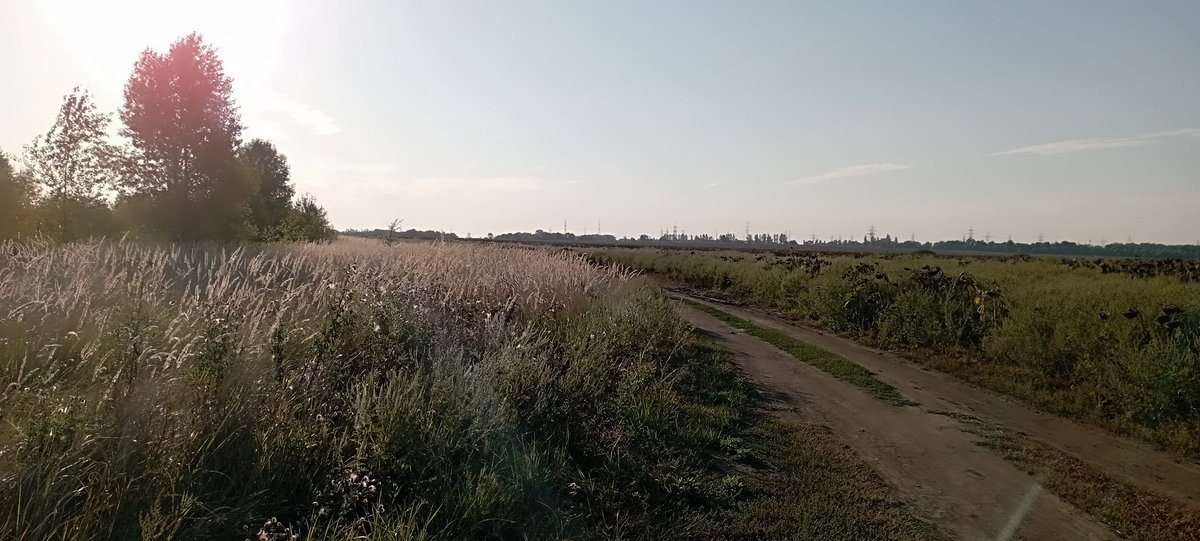 Bomber9150's tweet photo. Same place, but different perspective and time 
#Ukraine #Dnipro #Travel #flover  #plant #nature https://t.co/uwjxoPXD8l