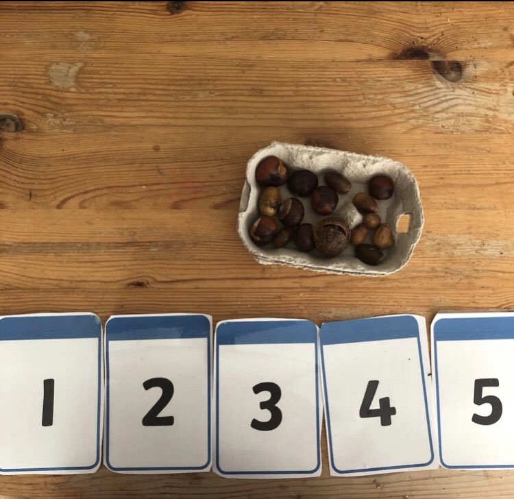 OpyMrs's tweet photo. Cardinal numbers - used for counting. Practising counting out a number of items. The cardinal number will tell us how many in an assemblage. #CardinalNumbers #counting #EYFS #Maths #Conkers https://t.co/FAX85ffIIV