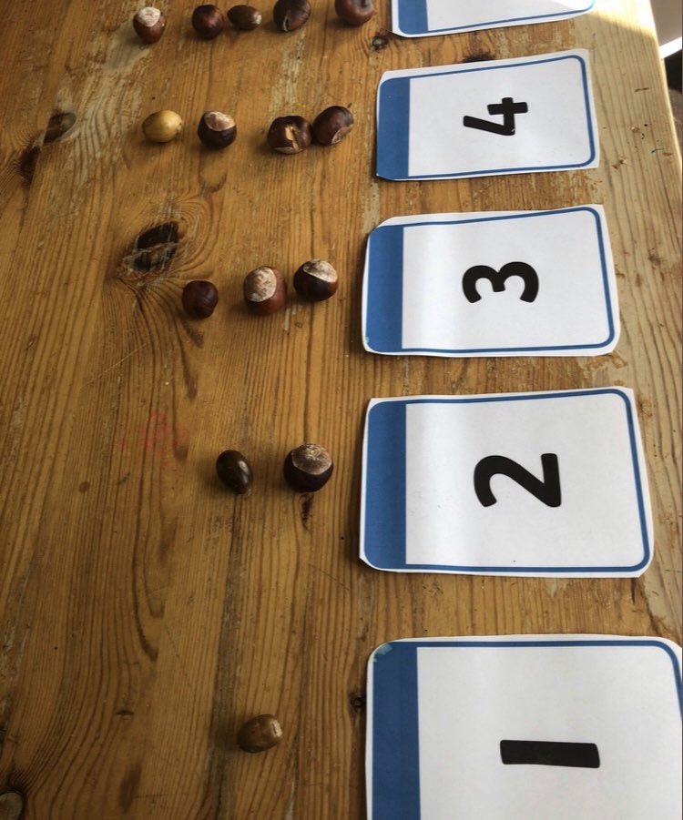 OpyMrs's tweet photo. Cardinal numbers - used for counting. Practising counting out a number of items. The cardinal number will tell us how many in an assemblage. #CardinalNumbers #counting #EYFS #Maths #Conkers https://t.co/FAX85ffIIV
