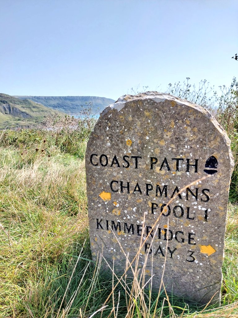 I love these on the coastal path in #Dorset. #FingerpostFriday #CoastalPath #walking