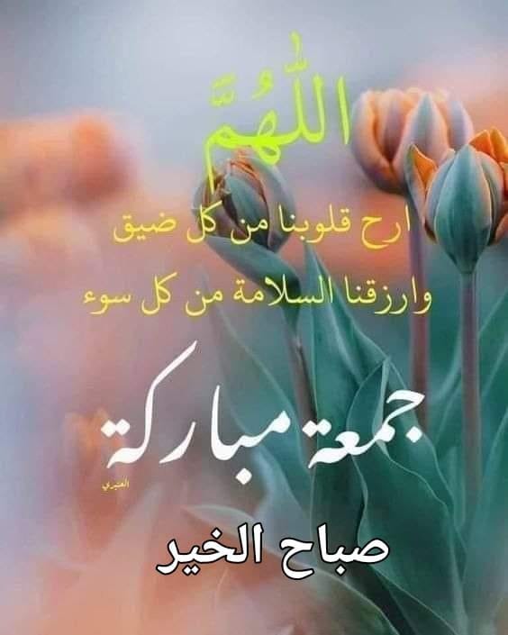 اللهــم إجعلنا أسعد خلقك وأقرب عبادك إليك وإغفر لنا ما مضى وأصلح لنا ما بقى واكتب لنا رضاك وعفوك والجنة.

جمعة طيبة مباركة.🌺
#جمعة_مباركة