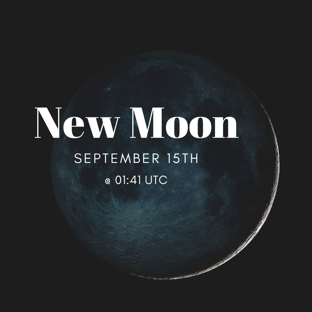 This evening marks the new moon, which is the best time of the month to stargaze. The light from the moon can wash out the light from the stars. Take advantage of the absence of moonlight to see more stars! #learnthesky #keeplookingup🔭 #constellations #stars #stargazing